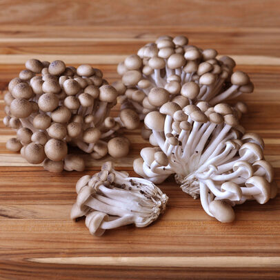 organic-hon-shimeji-mushrooms_60aa1f6c404d4.jpeg