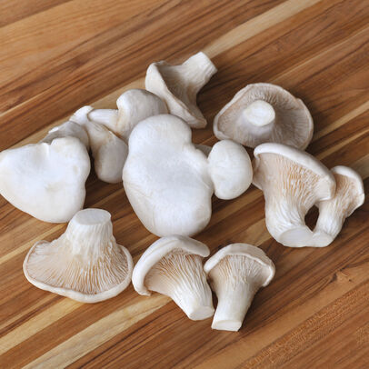 organic-nebrodini-mushrooms_60aa1fa11ac94.jpeg