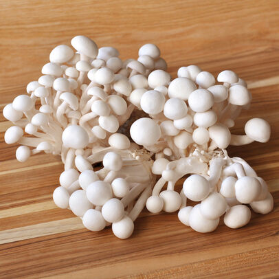 organic-white-beech-mushrooms_60aa200133f9d.jpeg